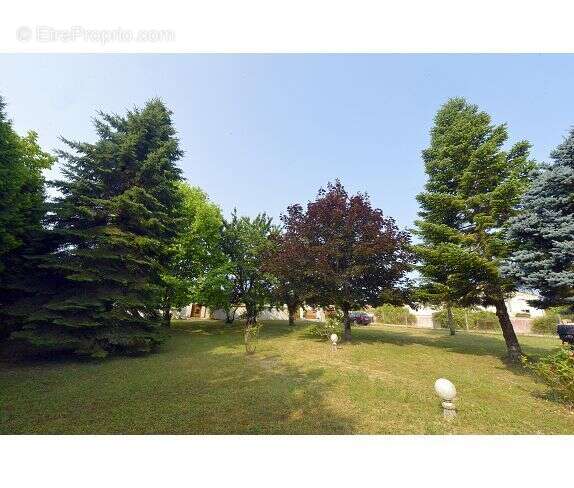 Maison à MESCHERS-SUR-GIRONDE