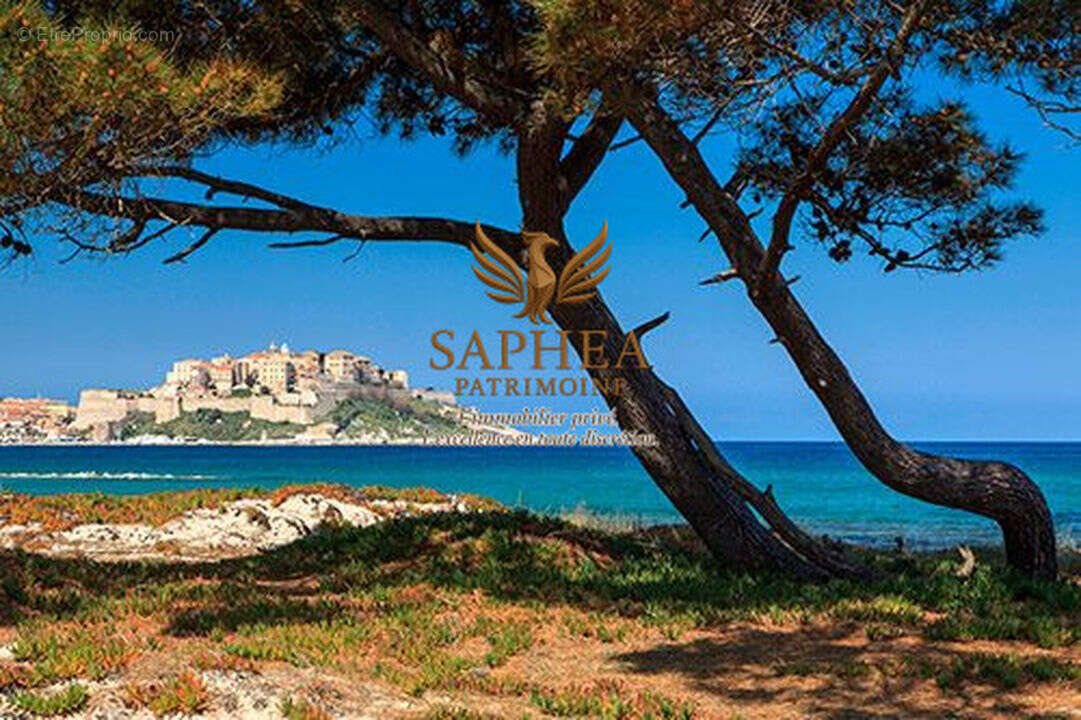 Appartement à CALVI