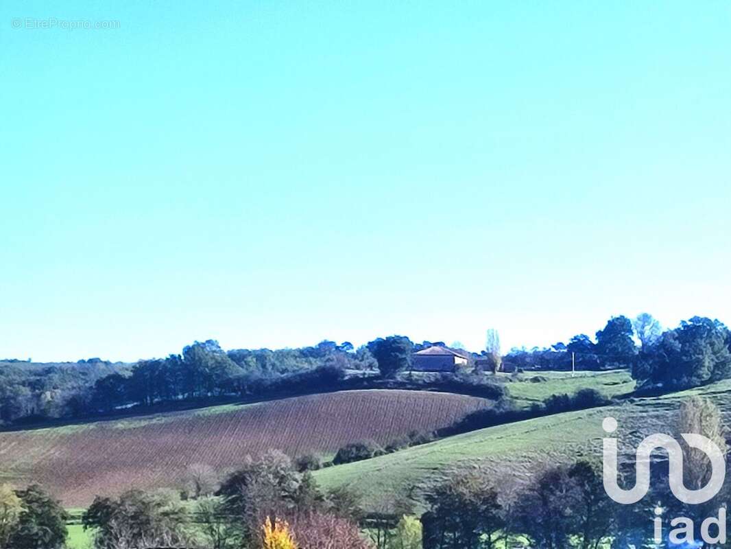 Photo 4 - Terrain à LA SALVETAT-BELMONTET