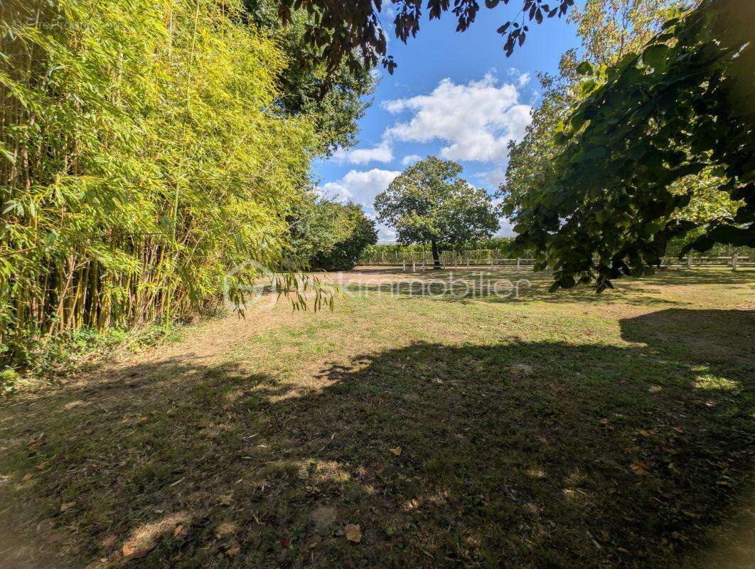 Maison à SAINT-JULIEN-DE-CONCELLES