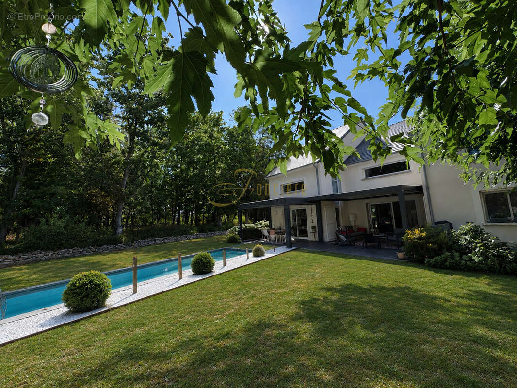 Maison d'architecte avec piscine au bord d'un bois classé - photo 18
