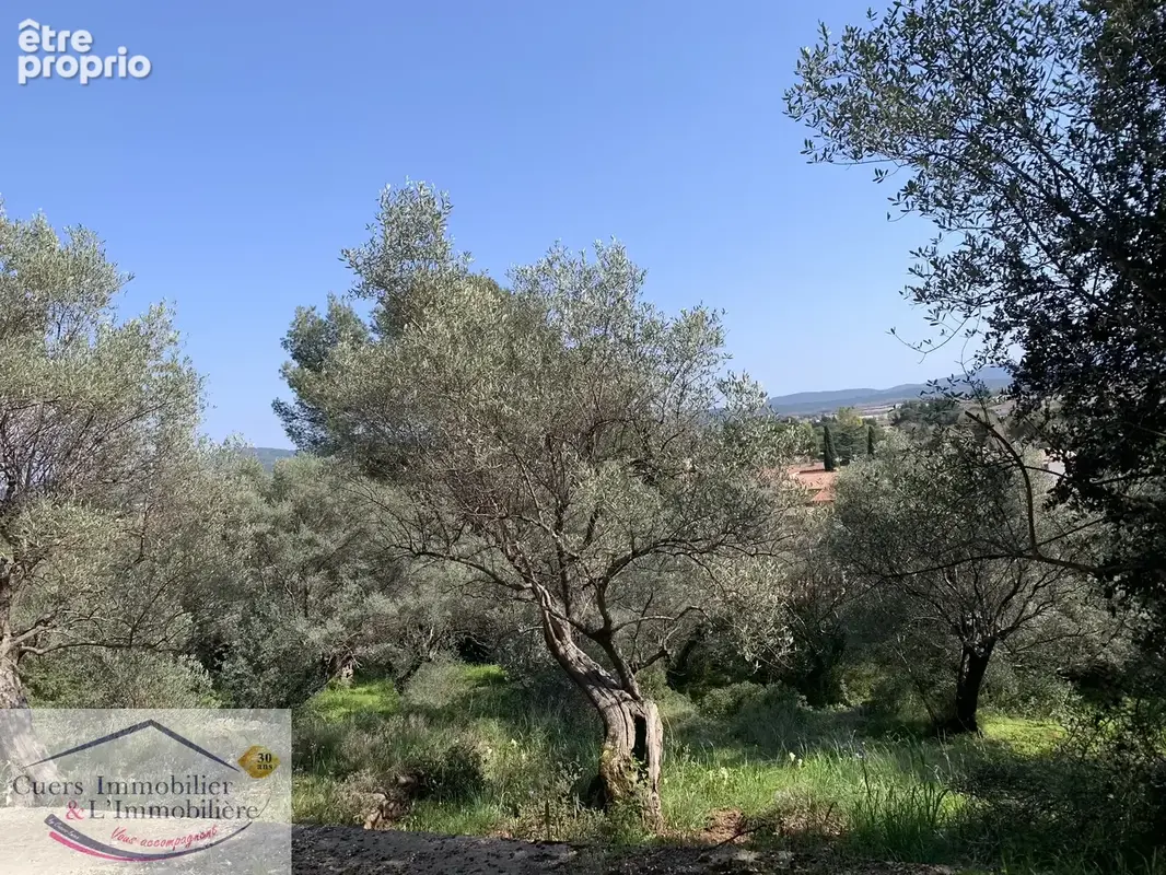 Photo Terrain à Sollies-Pont au prix de 159 000€