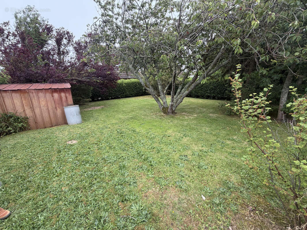 Maison familiale sur les hauteurs du Tréport   Quartier calme - photo 6