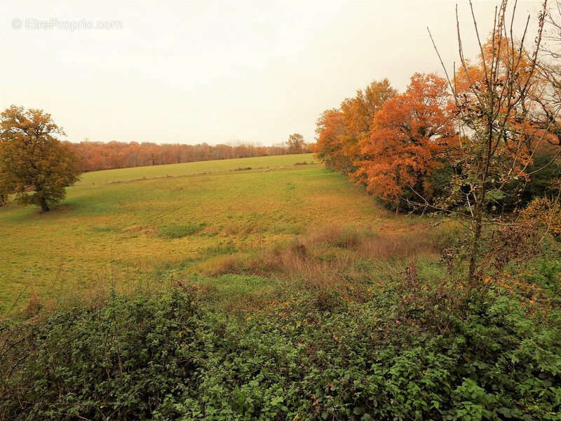 Maison à VALENCE-D&#039;ALBIGEOIS