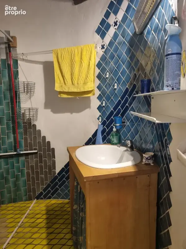 Maison avec Gîtes - photo 32