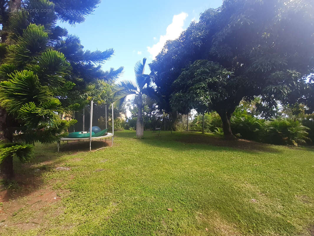 Terrain à SAINT-PAUL