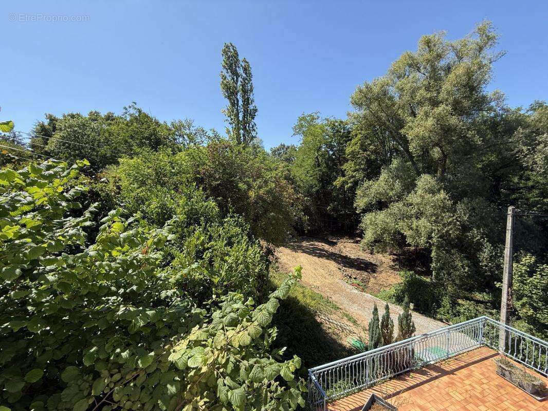 Terrain à CHAPONOST