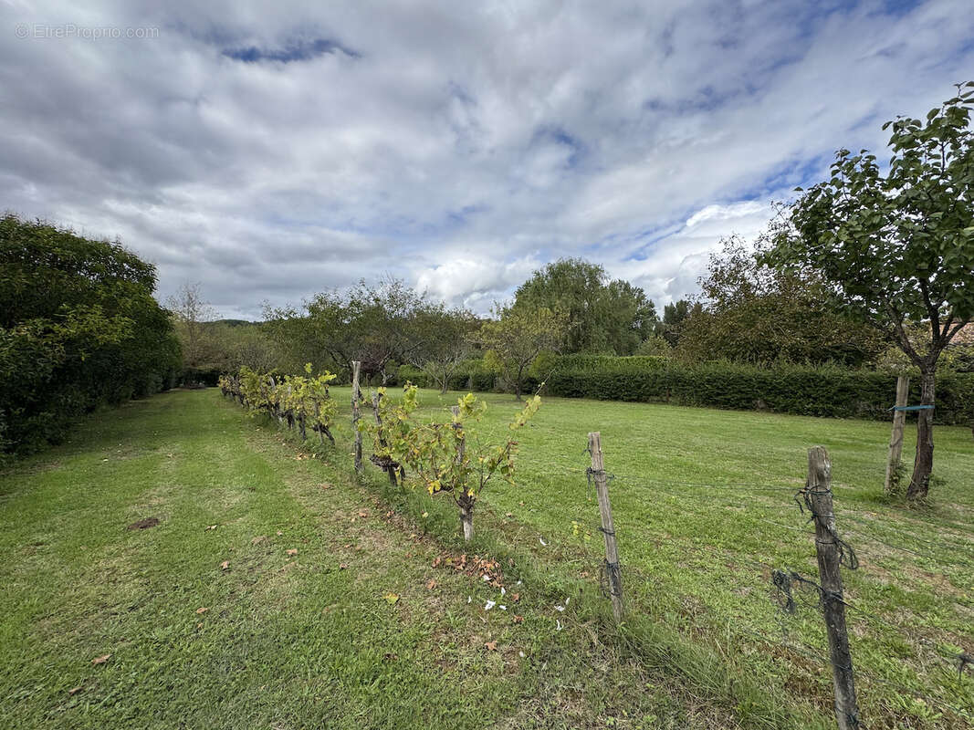 Maison à LAFITTE-SUR-LOT