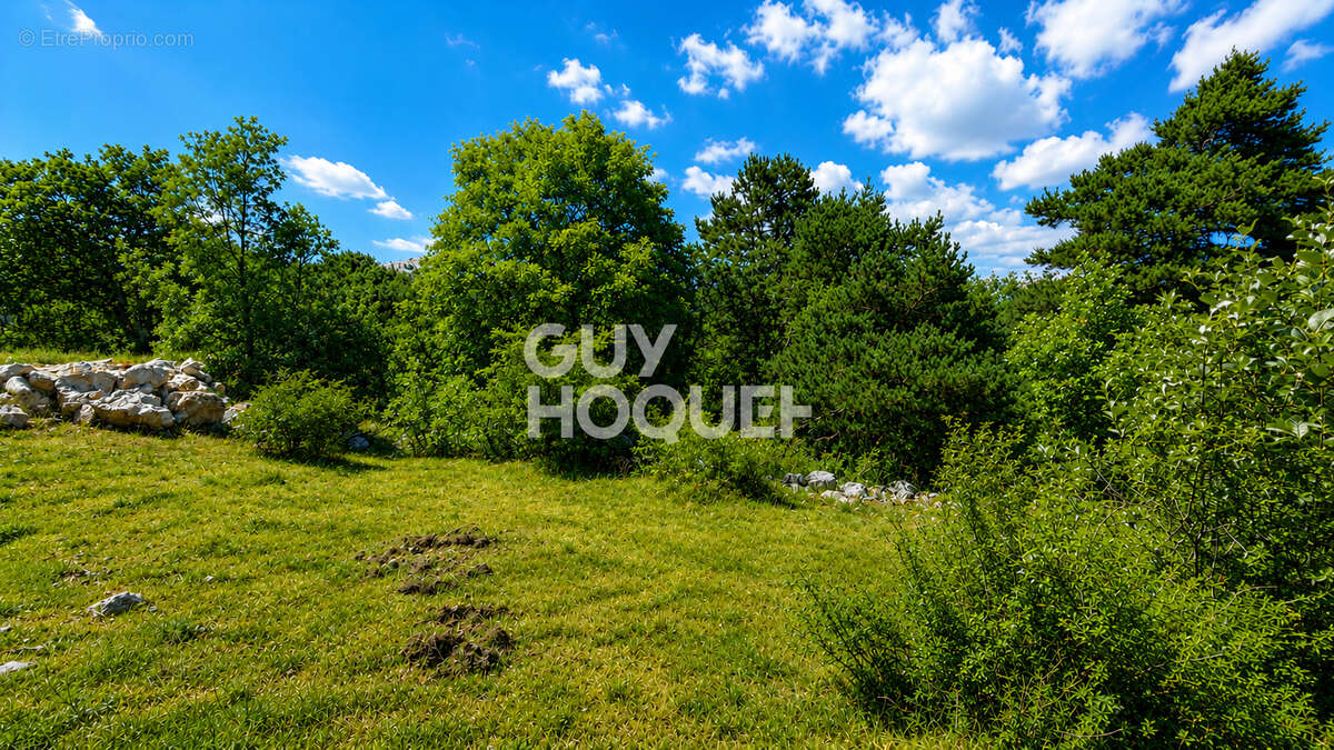 Terrain constructible à vendre - Caussols - 3 470 m² - photo 2