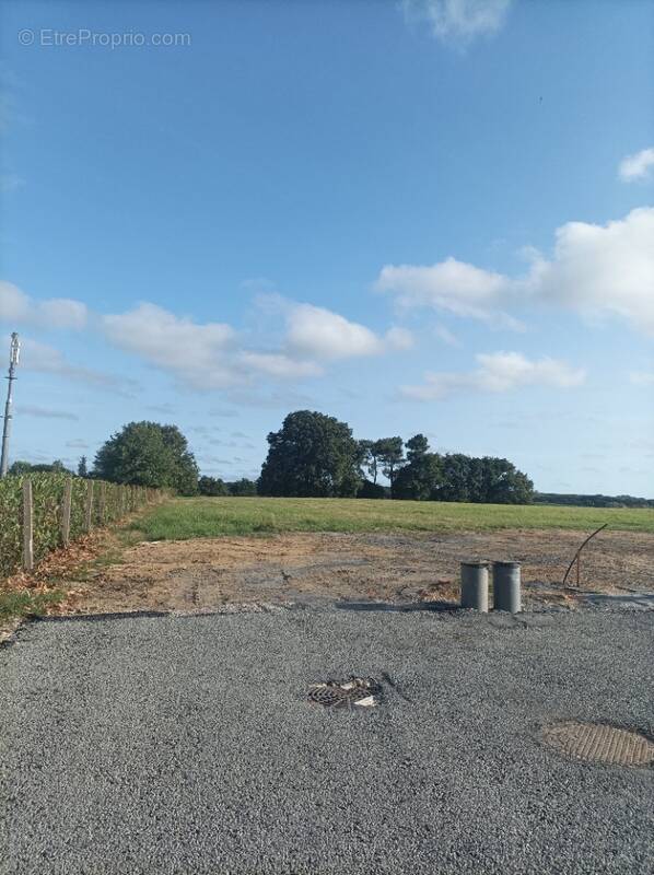 Terrain à LA REORTHE