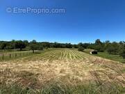 Terrain à AUNAC