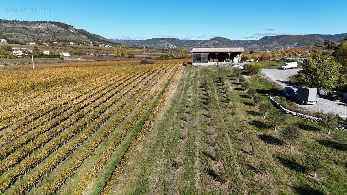 Appartement à ALBA-LA-ROMAINE