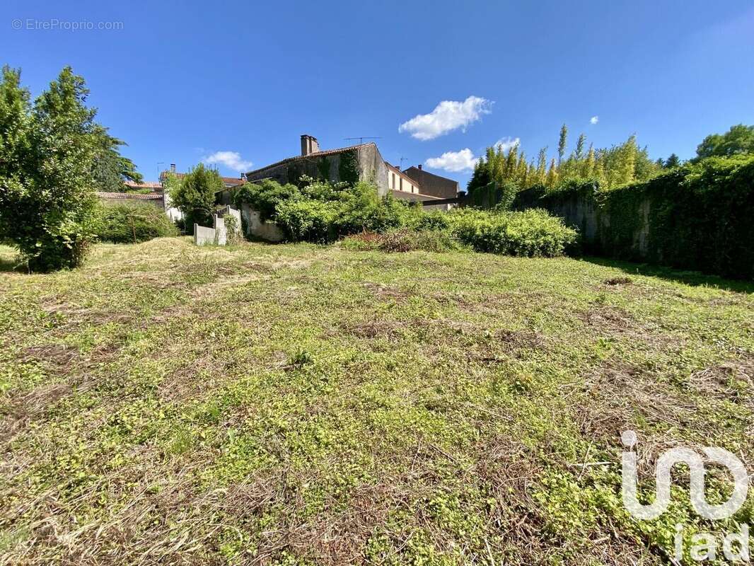 Photo 3 - Maison à MERVENT