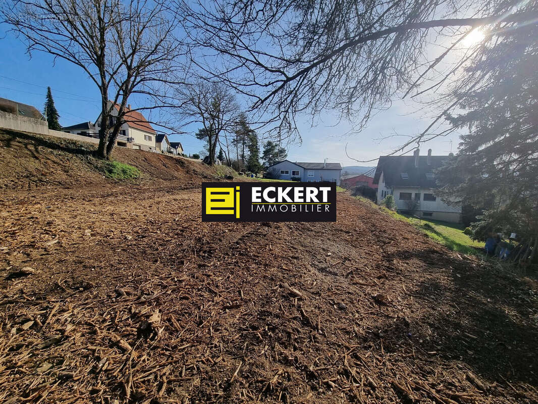 Terrain à OBERHASLACH