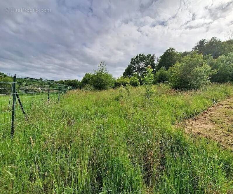 Terrain à SAINTE-FORTUNADE