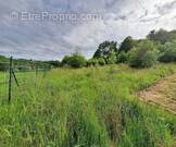 Terrain à SAINTE-FORTUNADE