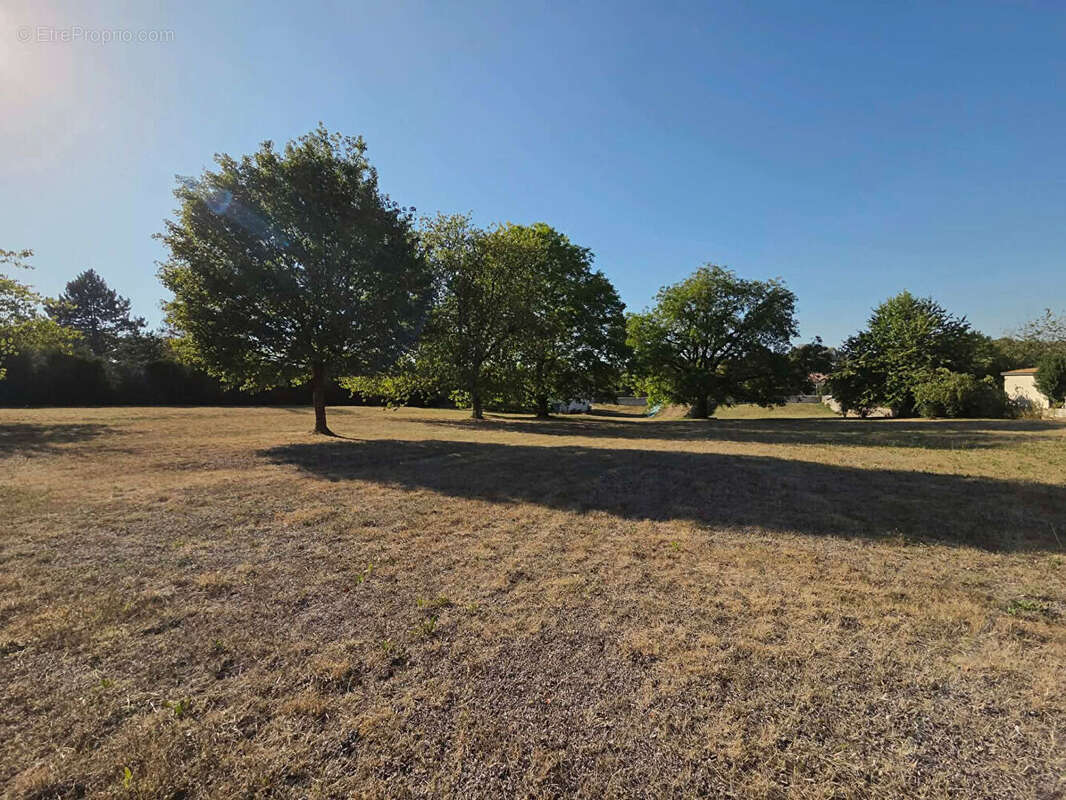 Terrain Biesles 3472 m2 - photo 2