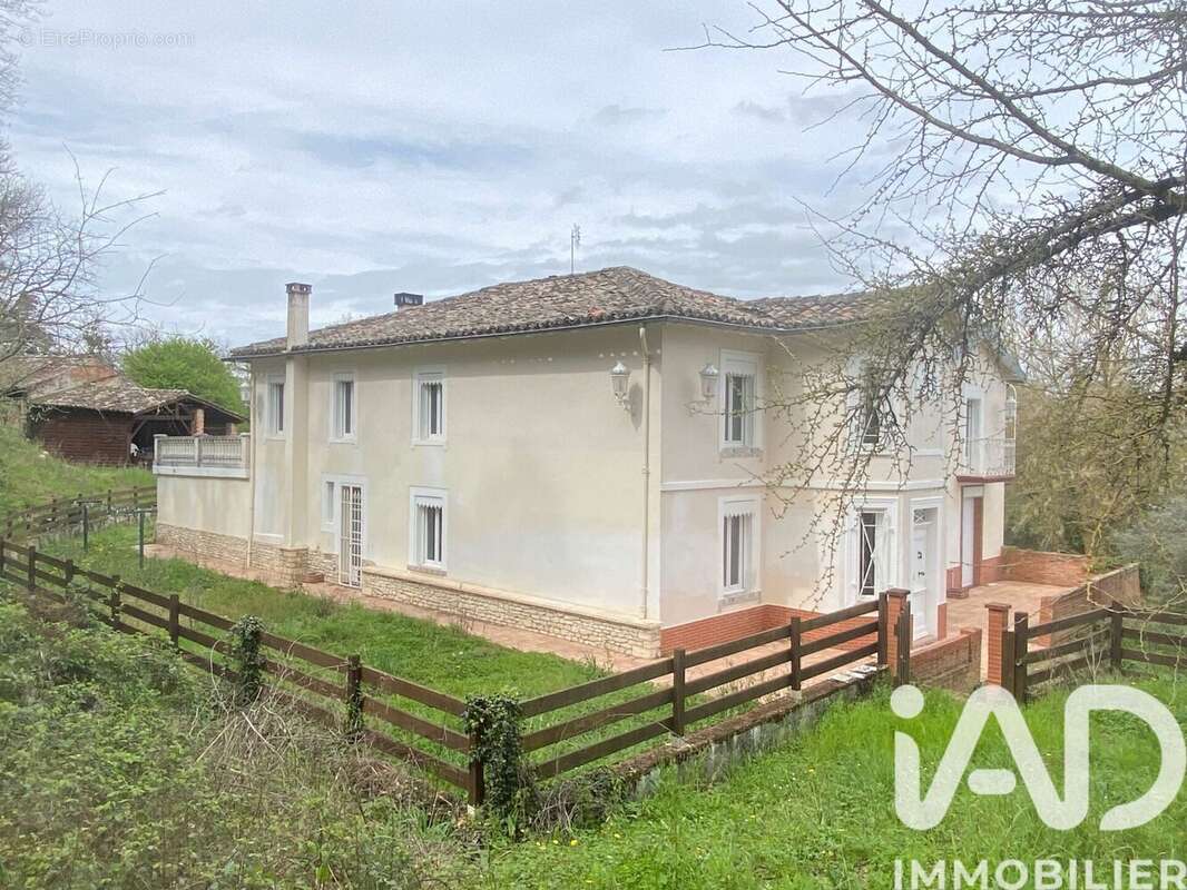 Maison 335 m² à Lisle-Sur-Tarn  - photo 2