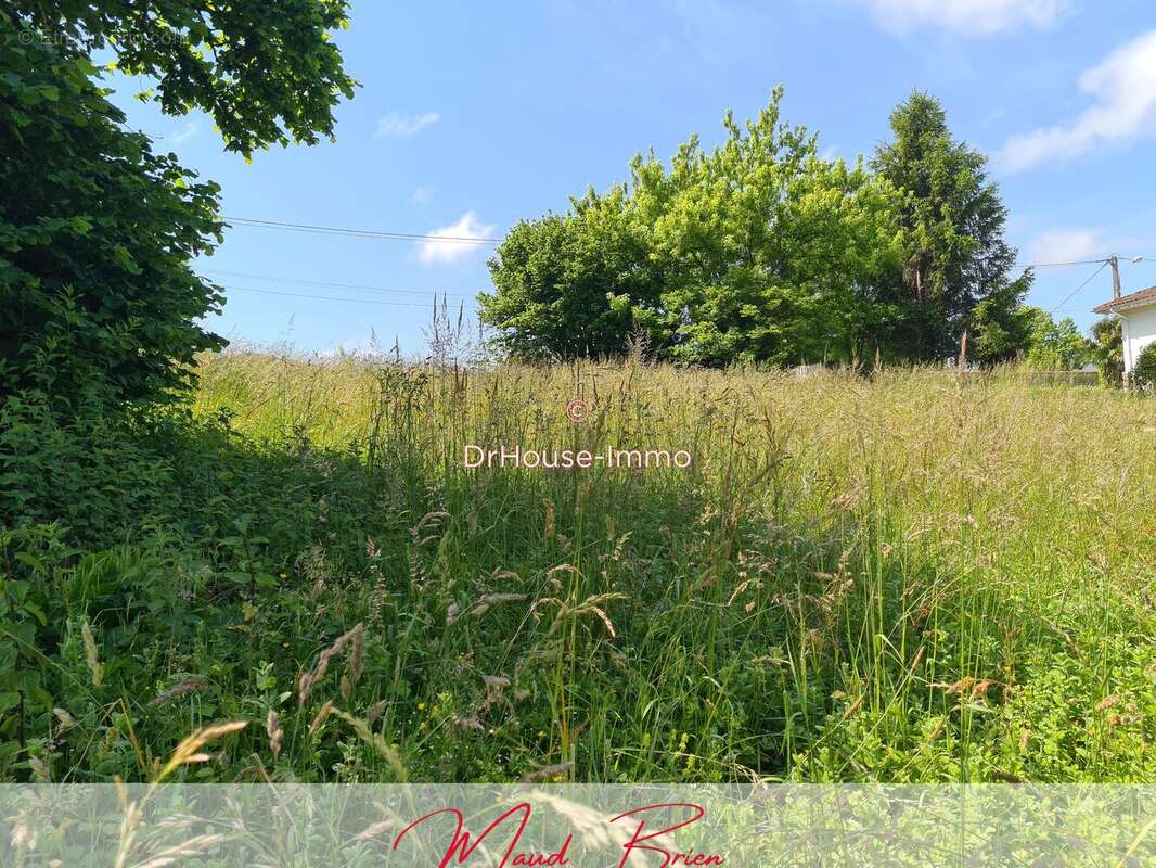 Terrain à MONTFORT-EN-CHALOSSE