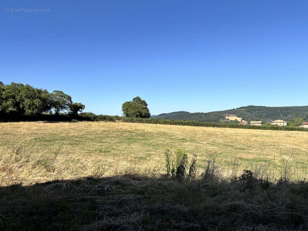 Commerce 1200 m² à Ouroux  - photo 6