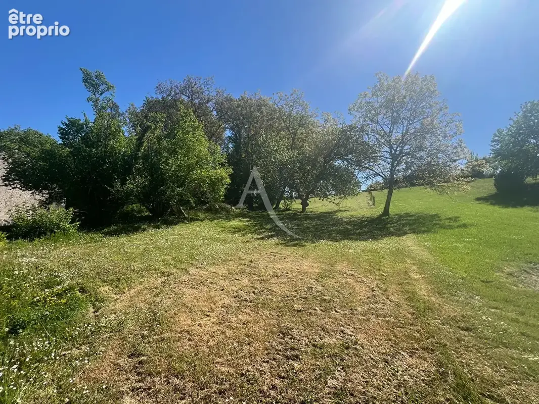 Terrain Chissay En Touraine 5320 m2 - photo 2