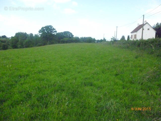 Terrain à MESNIL-CLINCHAMPS