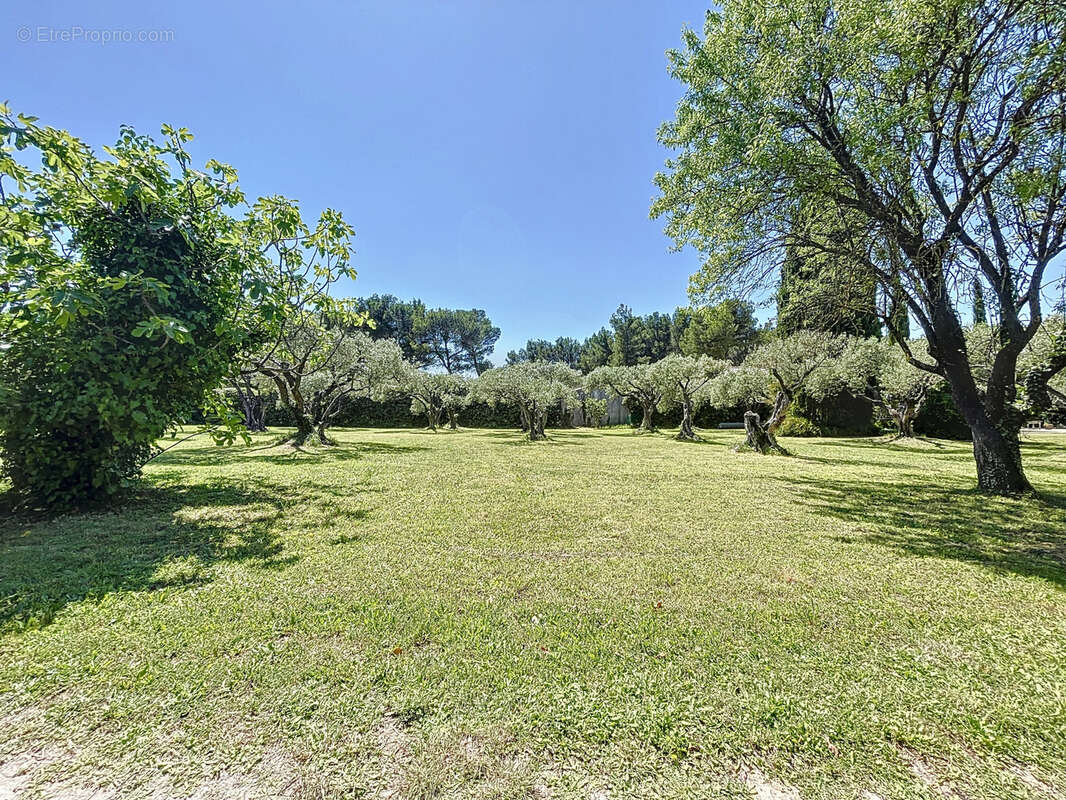 Terrain à PERNES-LES-FONTAINES