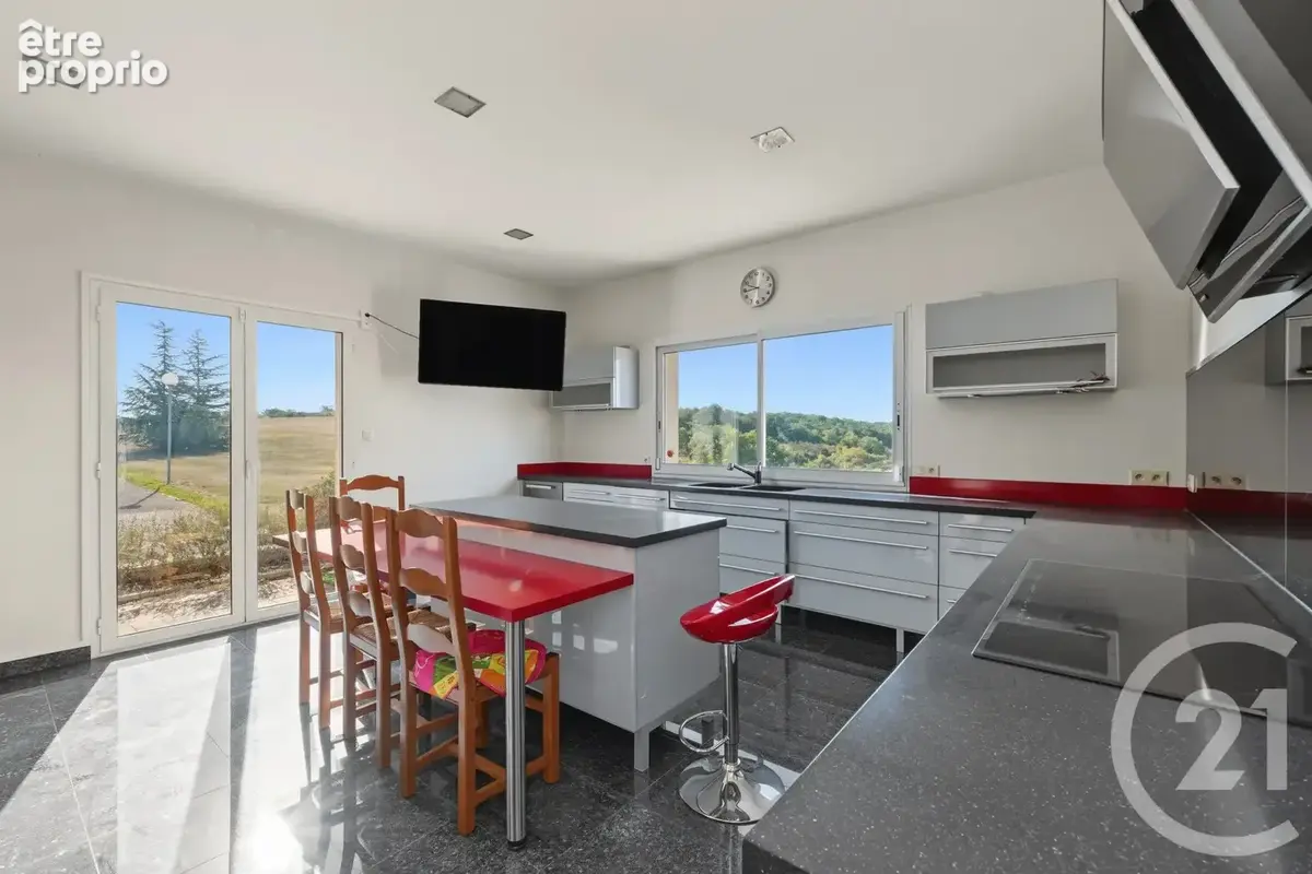 Maison 8 pièces 383 m² à vendre à L'isle-En-Dodon (31230) - photo 29