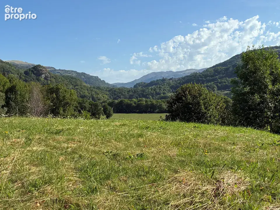 Terrain 2 500 m² à vendre à Vic-Sur-Cere (15800) - photo 2