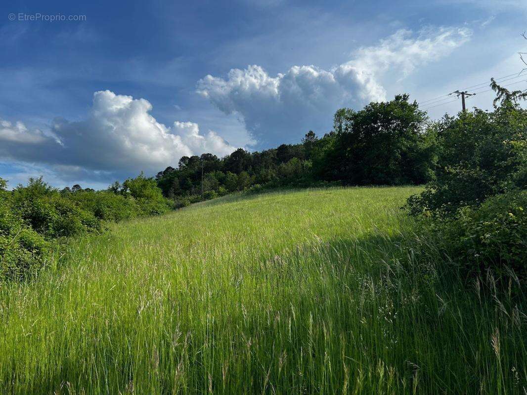 Terrain à SAINT-PAUL-DE-SERRE