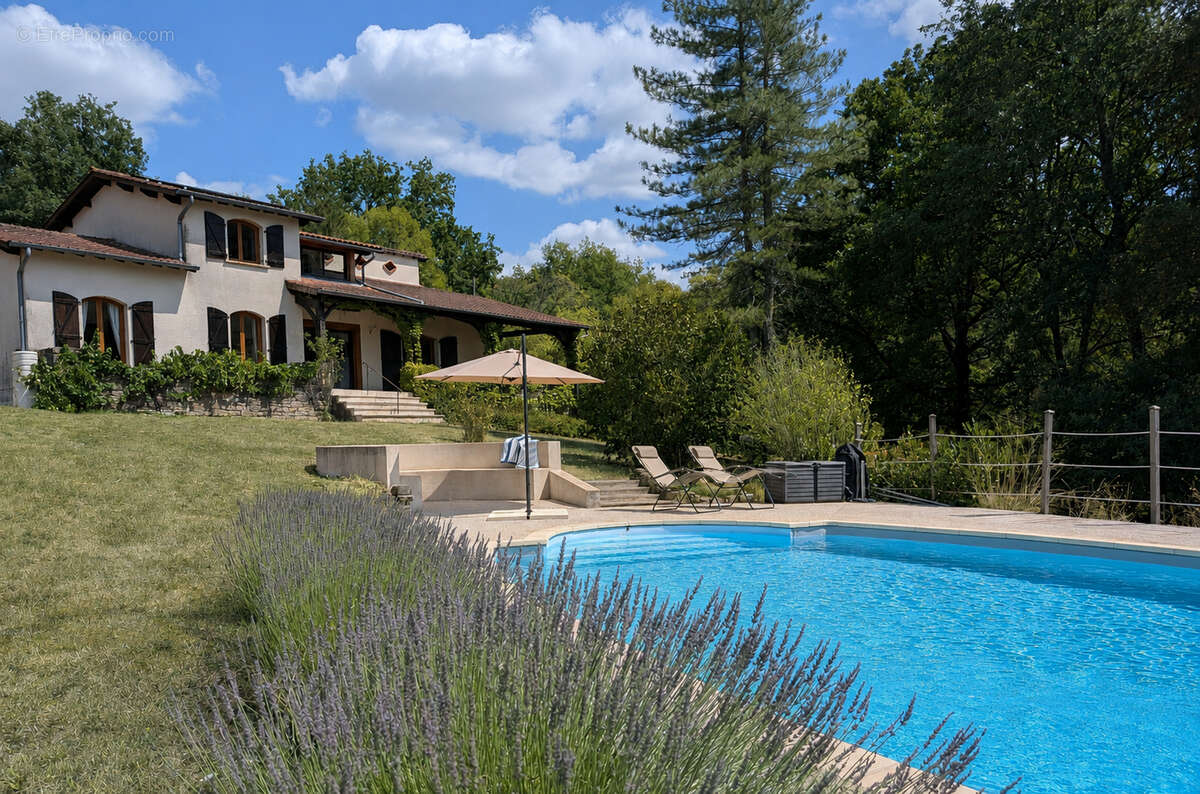 Saint Antonin Noble Val 7 pièces,180 m2, 1 ha, superbe! - photo 2
