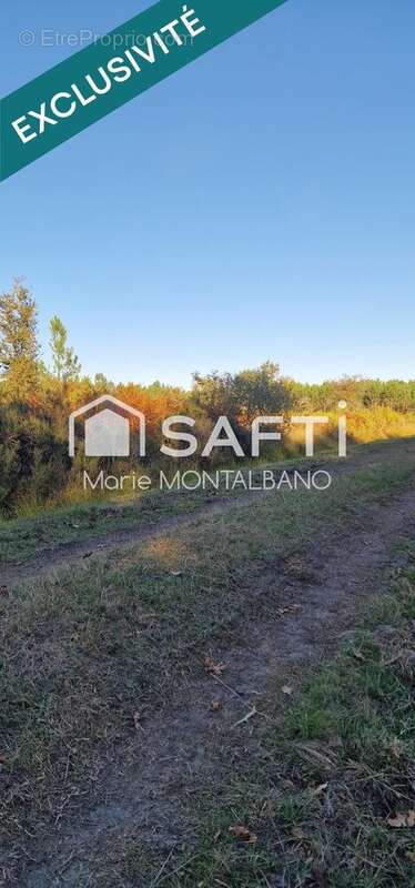 Photo 2 - Terrain à BIGANOS