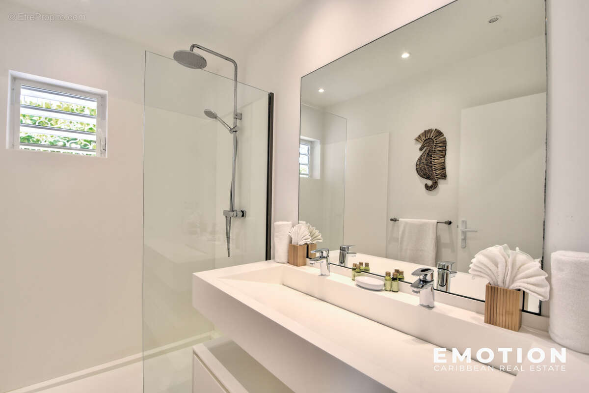 Maison à SAINT-MARTIN