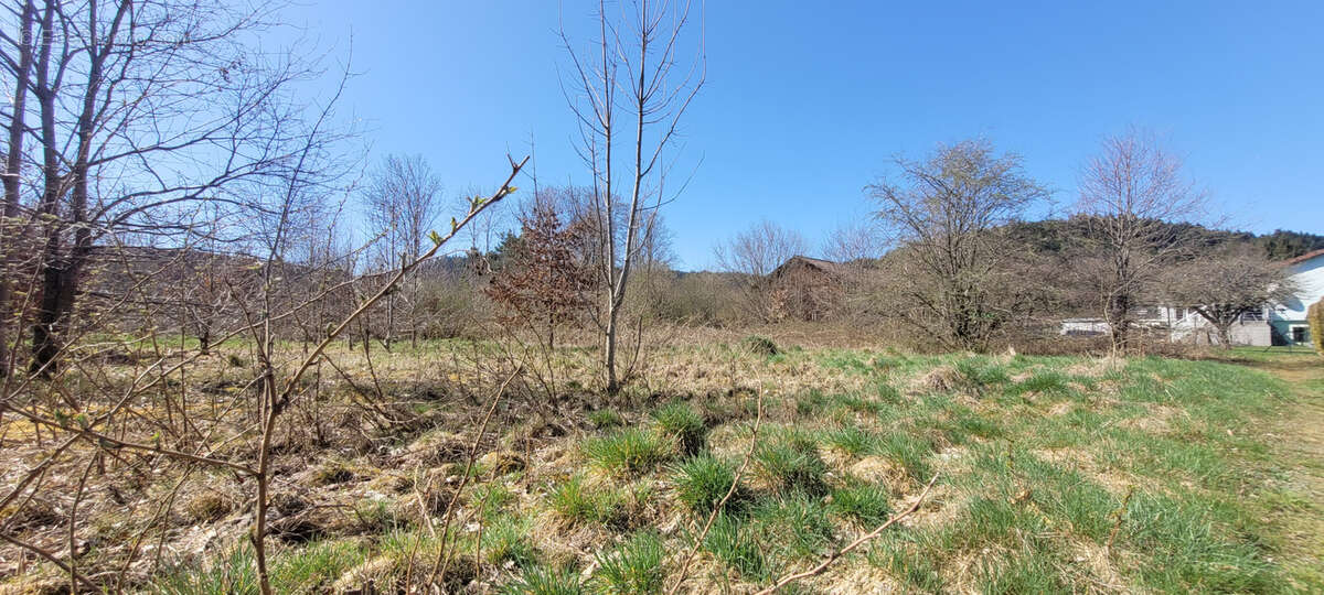 Terrain constructible - photo 2