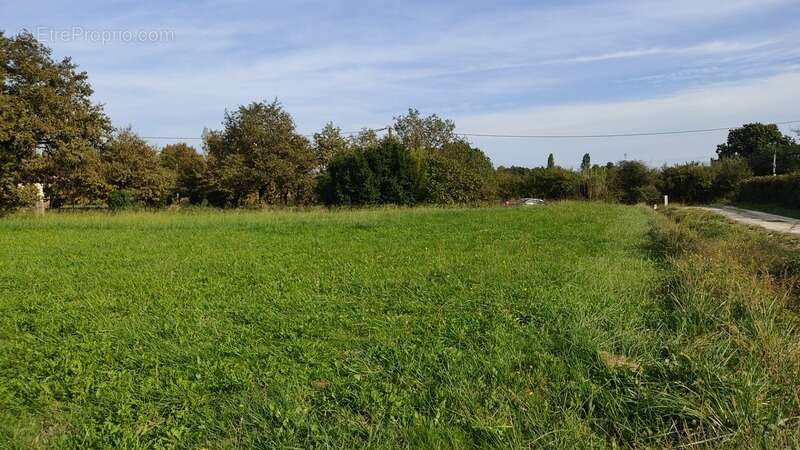 Terrain à AIRE-SUR-L'ADOUR