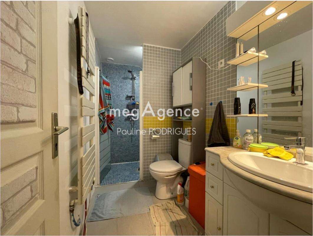 Maison à SAINTE-MAURE-DE-TOURAINE