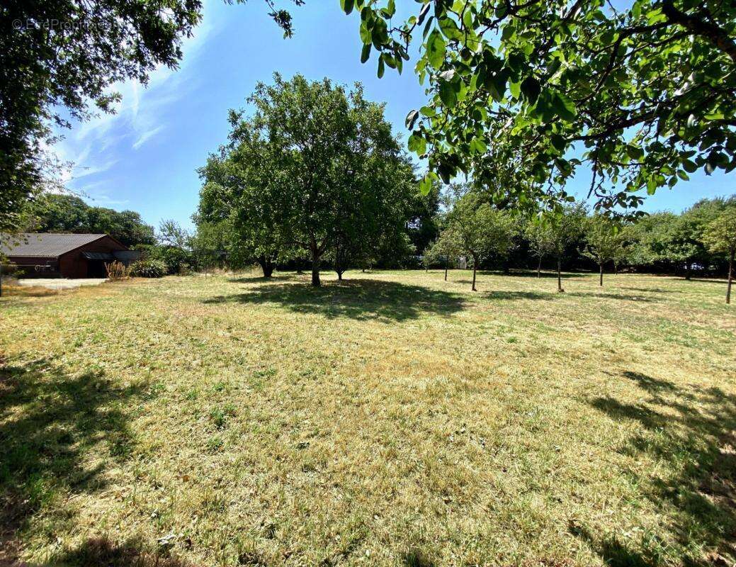 Propriété en pierre 208 m² dont 45 m² de véranda + grange 180 m² – Accessible PMR – 7000 m² – 20 min de Vannes! - photo 20