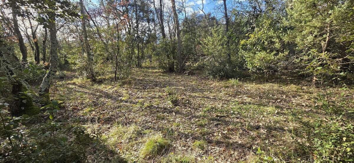 Terrain à SAINT-QUENTIN-LA-POTERIE