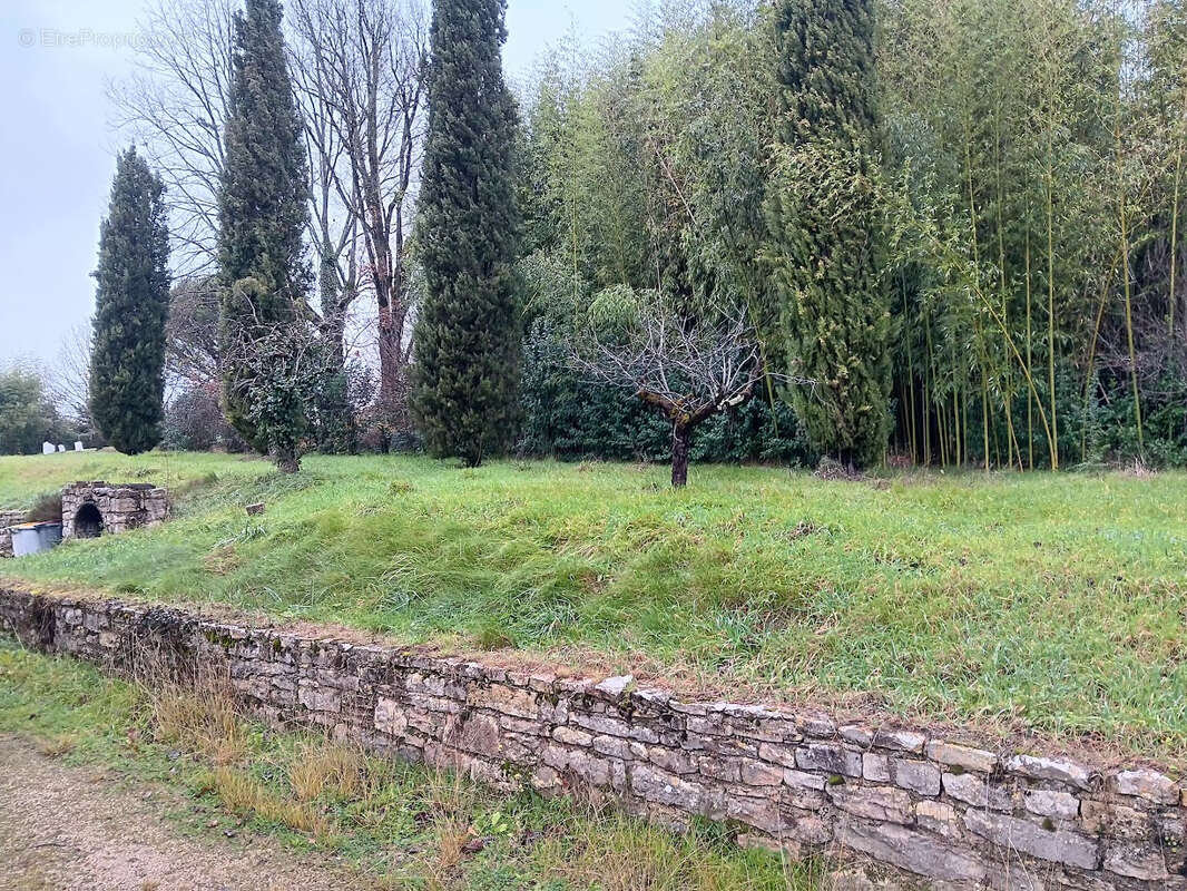 Maison à MONTRICOUX