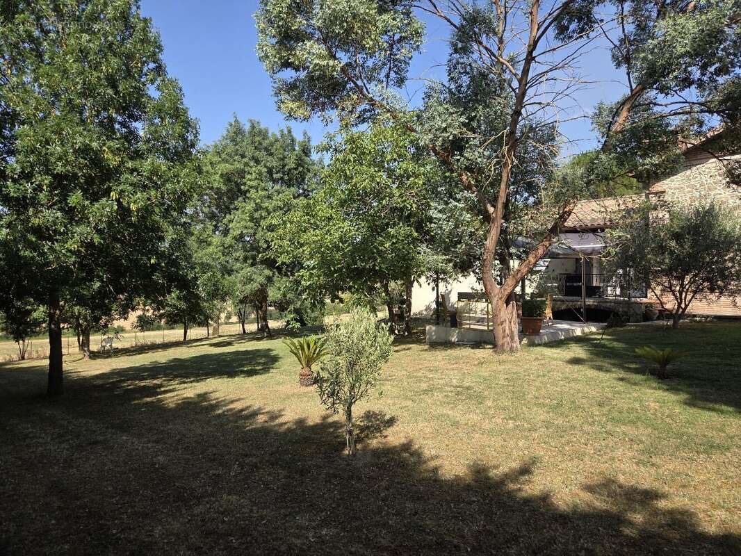 Proche l'I.Jourdain, maison T5 avec grand jardin - photo 3