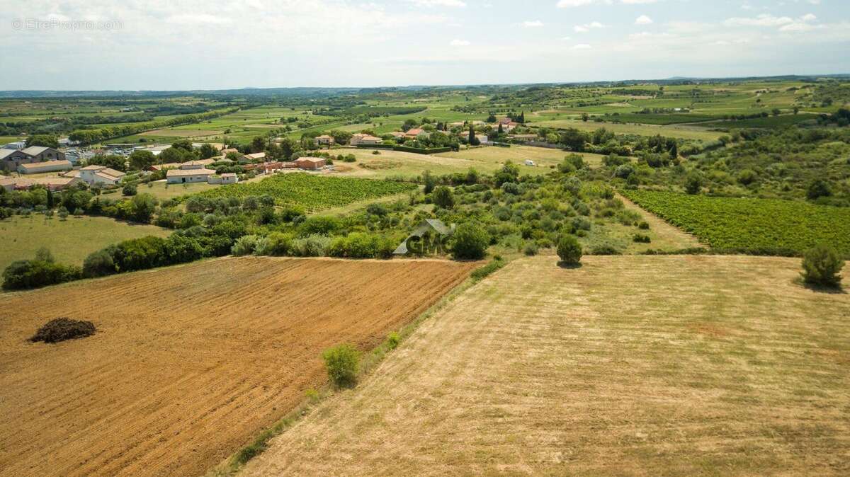 Photo 3 - Maison à ROUJAN