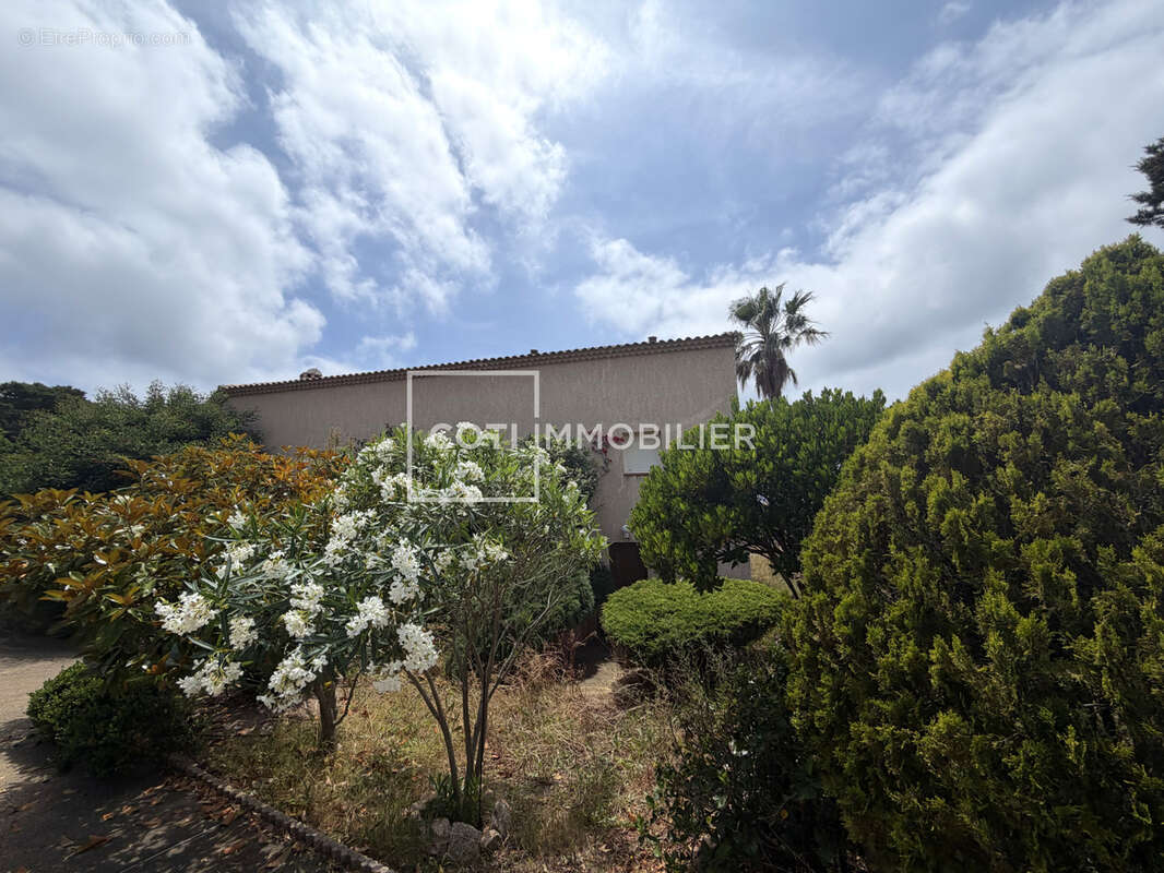 Tizzano - maison en pierre vue mer - 130m2 - photo 4