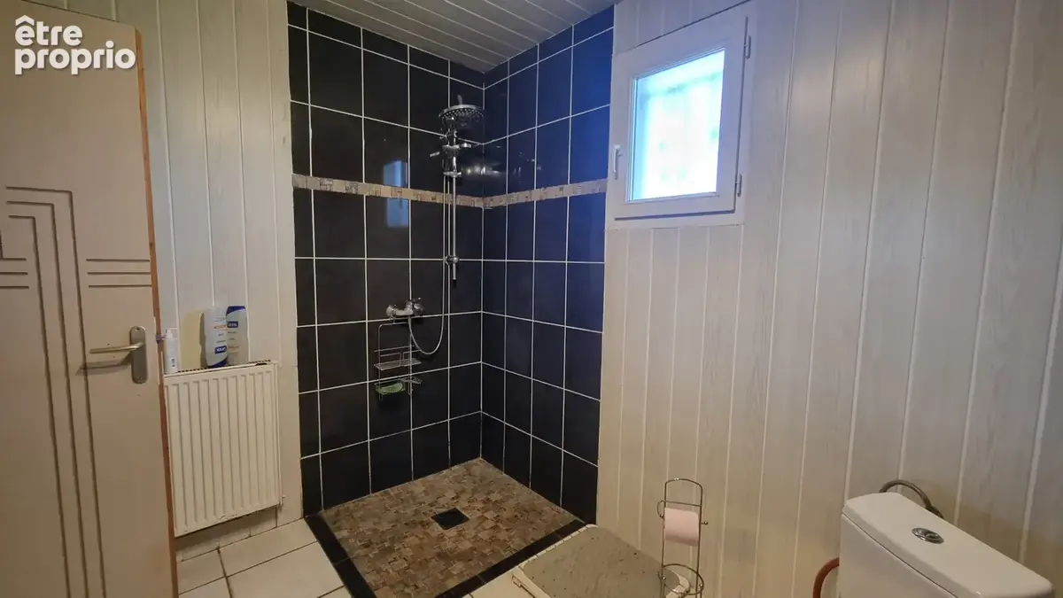 Propriété 156 m2 13600 m2 de prairies - photo 7