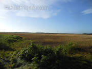 Terrain à QUAROUBLE