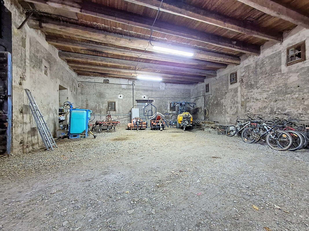 Commerce à SAINT-ANDRE-DE-SANGONIS