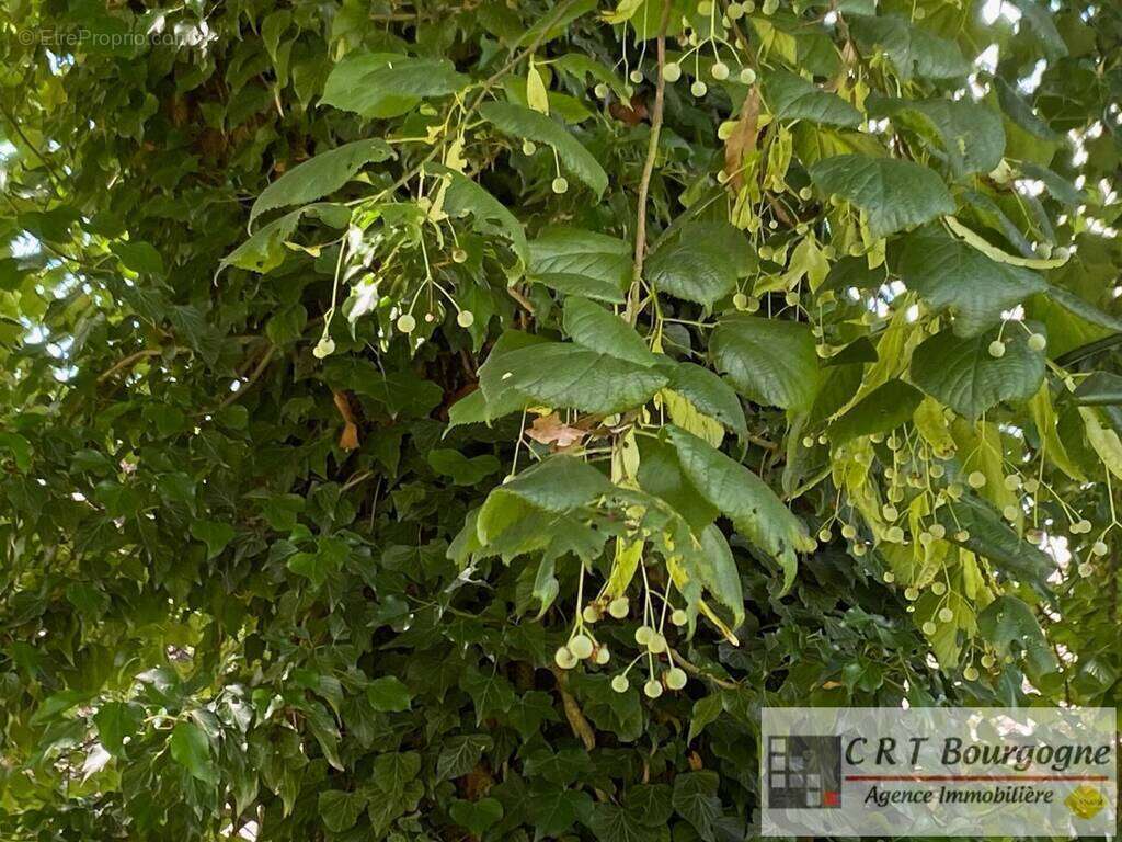 Maison à CHAMPIGNELLES