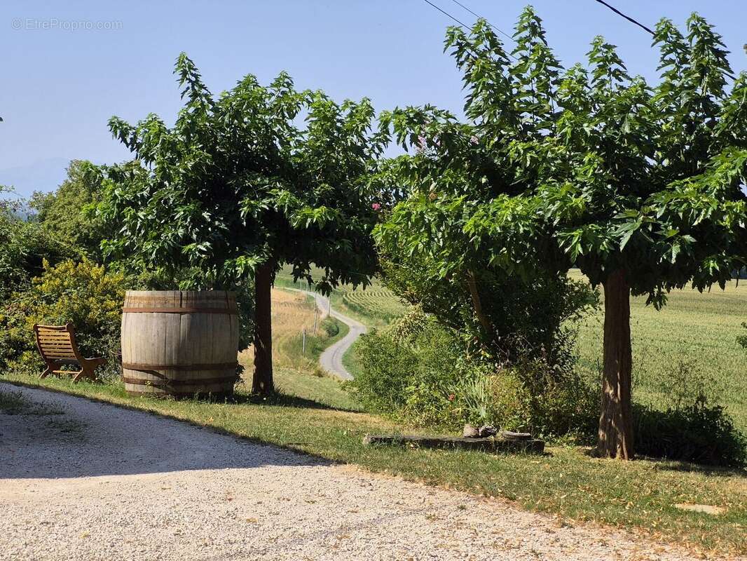 À vendre dans le Gers, proche de Castelnau-Magnoac: Maison gasconne dotée d'une cuisine d'été spacieuse, balcon-terrasse, grange - photo 4
