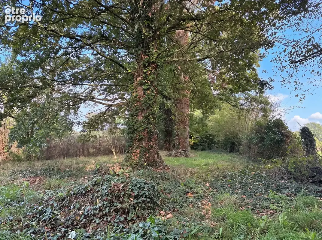 Rare à la vente : maison en pierre indépendante, sans voisin proche, dans un cadre champêtre - photo 4