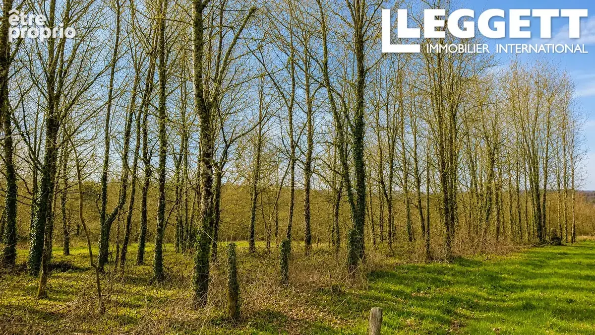 Beau terrain avec une grange en ruine avec CU - photo 10