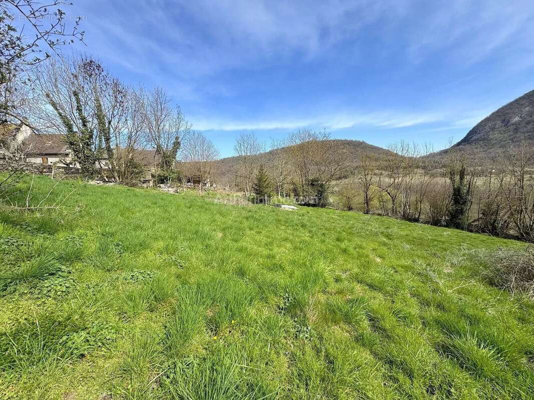 Vente Terrain Premeyzel(01300) 85 000ï¿œ - photo 6